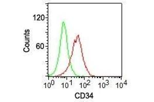 Flow cytometry of KG-1 cells using CD34 Monoclonal Antibody (ICO-115) (red) and isotype control Ab (green). (CD34 anticorps  (PE))