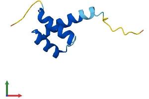 AlphaFold protein structure predicition of Mouse Recombinant Hopx Protein, UniprotID Q8R1H0