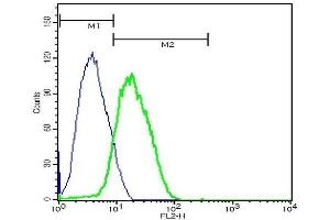 Flow Cytometry (FACS) image for anti-CD8 (CD8) (AA 51-150) antibody (ABIN671391)