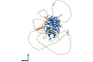 AlphaFold protein structure predicition of Mouse Recombinant Dtl Protein, UniprotID Q3TLR7
