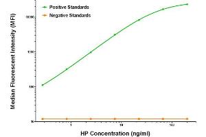 Luminex Assay (LMNX) image for anti-Haptoglobin (HP) antibody (ABIN2722429)