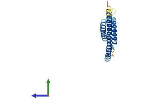 AlphaFold protein structure predicition of Human Recombinant MED21 Protein, UniprotID Q13503