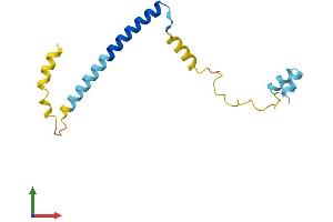 AlphaFold protein structure predicition of Mouse Recombinant Cplx2 Protein, UniprotID P84086