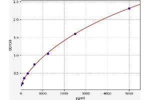 Typical standard curve (ABCC6 Kit ELISA)