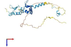 AlphaFold protein structure predicition of Human Recombinant SURF2 Protein, UniprotID Q15527