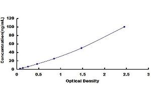 Typical Standard Curve