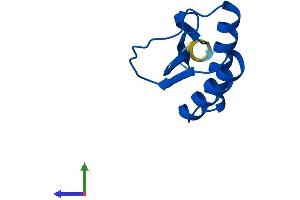 AlphaFold protein structure predicition of Mouse Recombinant Dnal4 Protein, UniprotID Q9DCM4