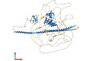 AlphaFold protein structure predicition of Human Recombinant TP53BP2 Protein, UniprotID Q13625