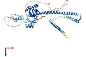 AlphaFold protein structure predicition of Human Recombinant NUP54 Protein, UniprotID Q7Z3B4