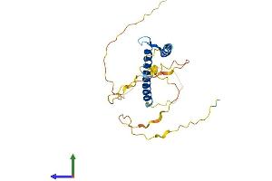 AlphaFold protein structure predicition of Mouse Recombinant Bhlha9 Protein, UniprotID Q5RJB0