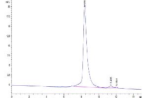 The purity of Biotinylated Cynomolgus Siglec-15 is greater than 95 % as determined by SEC-HPLC.