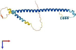 AlphaFold protein structure predicition of Mouse Recombinant Atf3 Protein, UniprotID Q60765