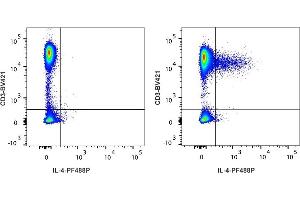 Detection of IL-4 by flow cytometry in viable human lymphocytes. (IL-4 anticorps  (PromoFluor-488 Premium))