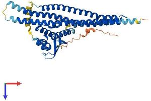AlphaFold protein structure predicition of Human Recombinant SNX7 Protein, UniprotID Q9UNH6