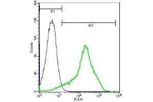 Mouse splenocytes probed with Rabbit Anti-FPRL1 Polyclonal Antibody . (FPR2 anticorps  (AA 51-150))