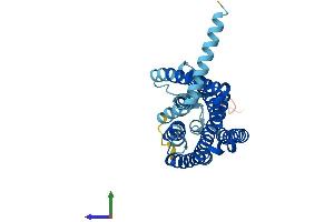 AlphaFold protein structure predicition of Human Recombinant OR2W1 Protein, UniprotID Q9Y3N9