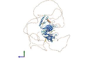 AlphaFold protein structure predicition of Mouse Recombinant Sytl2 Protein, UniprotID Q99N50