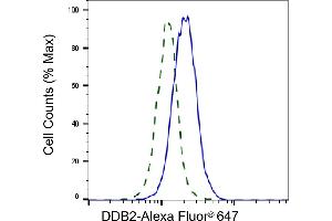 Validation of DDB2 knockdown using flow cytometry. (Recombinant DDB2 anticorps)