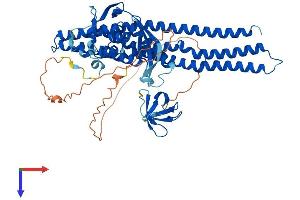 AlphaFold protein structure predicition of Mouse Recombinant Snx33 Protein, UniprotID Q4VAA7