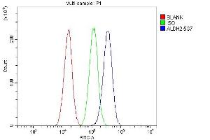 Flow Cytometry analysis of A549 cells using anti-ALDH2 antibody (ABIN7603107). (ALDH2 anticorps  (N-Term))