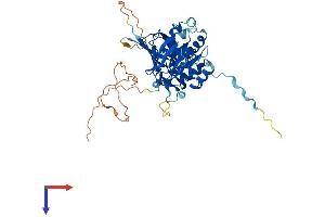 AlphaFold protein structure predicition of Human Recombinant NADK Protein, UniprotID O95544