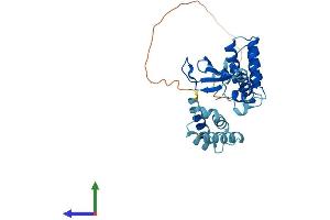 AlphaFold protein structure predicition of Human Recombinant TCEA1 Protein, UniprotID P23193