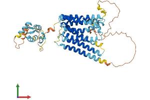 AlphaFold protein structure predicition of Mouse Recombinant Slc39a8 Protein, UniprotID Q91W10