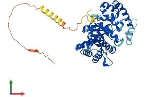 AlphaFold protein structure predicition of Mouse Recombinant Kcnab1 Protein, UniprotID P63143