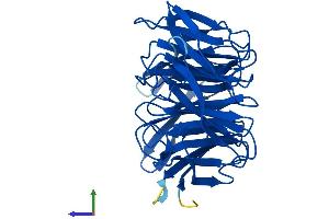 AlphaFold protein structure predicition of Human Recombinant CIAO1 Protein, UniprotID O76071