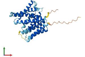 AlphaFold protein structure predicition of Mouse Recombinant Slc35d2 Protein, UniprotID Q762D5