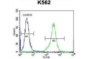 Flow cytometric analysis of K562 cells using CD238 / KEL Antibody (Center) Cat.