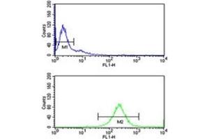 C7 antibody flow cytometry analysis of Ramos cells (green) compared to a negative control (blue).
