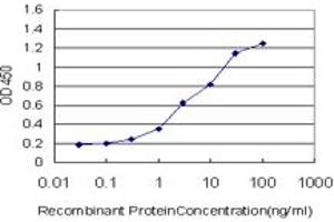 Detection limit for recombinant GST tagged THTPA is approximately 0.