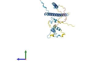 AlphaFold protein structure predicition of Human Recombinant LENG1 Protein, UniprotID Q96BZ8