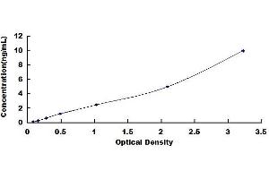 Typical standard curve (CEBPA Kit ELISA)