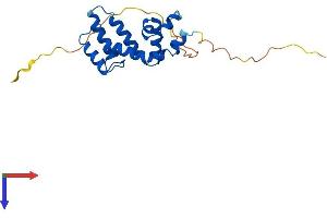 AlphaFold protein structure predicition of Human Recombinant RGS4 Protein, UniprotID P49798