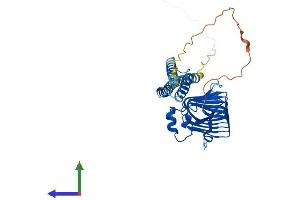 AlphaFold protein structure predicition of Mouse Recombinant Tbcc Protein, UniprotID Q8VCN9