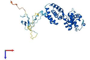 AlphaFold protein structure predicition of Mouse Recombinant Gtf2b Protein, UniprotID P62915
