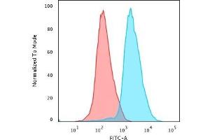 Flow Cytometric Analysis of PFA-fixed Jurkat cells using CD45RA Mouse Monoclonal Antibody (PTPRC/818) followed by Goat anti- Mouse- IgG-CF488 (Blue); Isotype Control (Red).