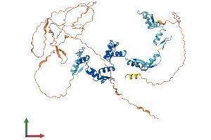 AlphaFold protein structure predicition of Mouse Recombinant Ctcfl Protein, UniprotID A2APF3