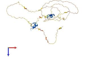 AlphaFold protein structure predicition of Human Recombinant ZNF488 Protein, UniprotID Q96MN9