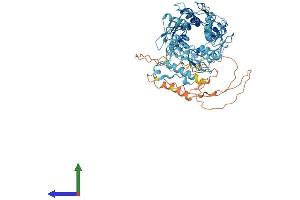 AlphaFold protein structure predicition of Human Recombinant ZNF418 Protein, UniprotID Q8TF45