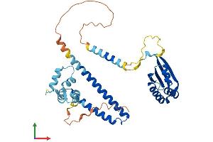 AlphaFold protein structure predicition of Mouse Recombinant Necab3 Protein, UniprotID Q9D6J4