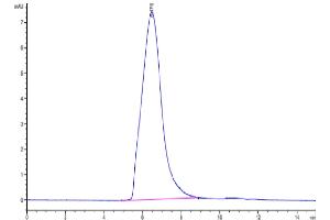 The purity of Mouse MUC18 is greater than 95 % as determined by SEC-HPLC.