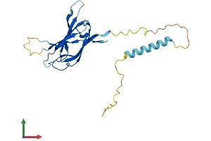 AlphaFold protein structure predicition of Mouse Recombinant Nicn1 Protein, UniprotID Q9CQM0