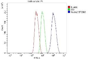 Flow Cytometry analysis of HepG2 cells using anti-Nectin 2/NECTIN2 antibody (ABIN7601304).