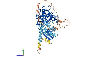 AlphaFold protein structure predicition of Human Recombinant STK25 Protein, UniprotID O00506