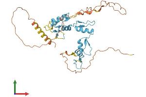 AlphaFold protein structure predicition of Human Recombinant ZIC4 Protein, UniprotID Q8N9L1