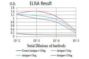 Black line: Control Antigen (100 ng),Purple line: Antigen (10 ng), Blue line: Antigen (50 ng), Red line:Antigen (100 ng)
