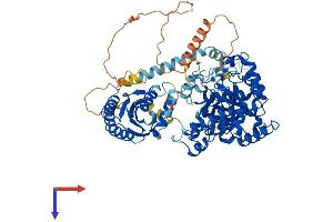 AlphaFold protein structure predicition of Mouse Recombinant Tyw1 Protein, UniprotID Q8BJM7